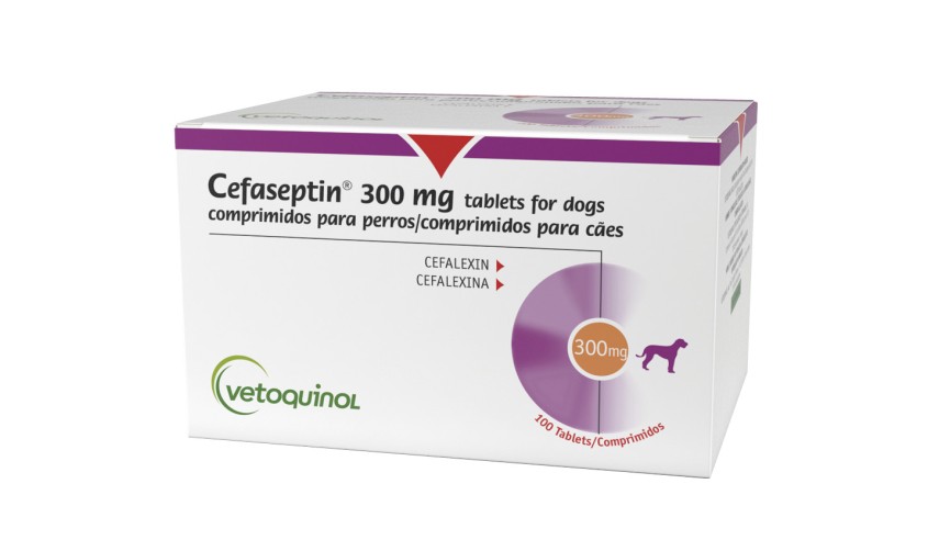 CEFASEPTIN 300 MG 100 COMP