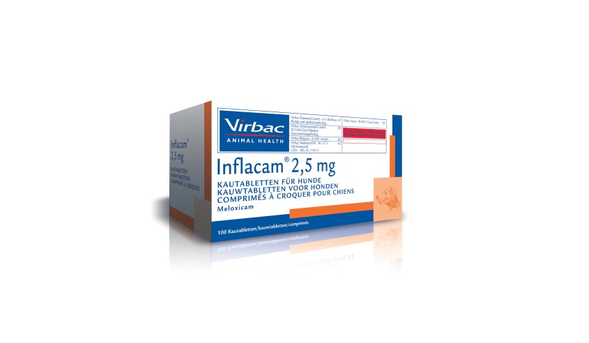 INFLACAM MASTICABLE 2,5 MG 100 COMP.