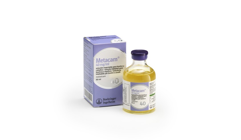 METACAM-40 VACUNO/EQUINO 50 ML