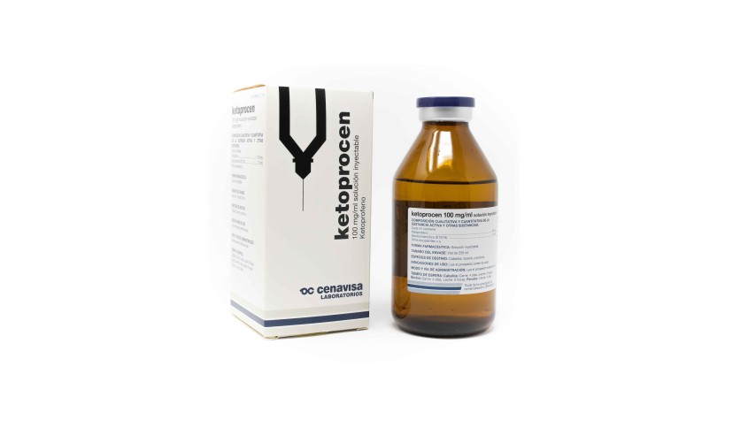 KETOPROCEN INY 100 ML.