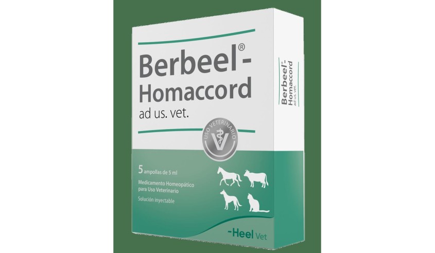 BERBERIS HOMACCORD INYECTABLE 5 X 5 ml AV