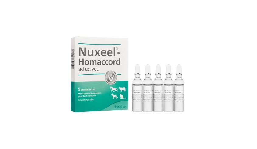 NUX VOMICA HOMACCORD INYECTABLE 5 X 5 ml AV