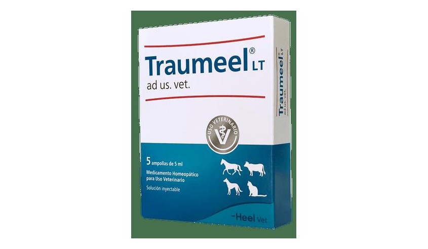 TRAUMEEL INYECTABLE 5 X 5 ml AV