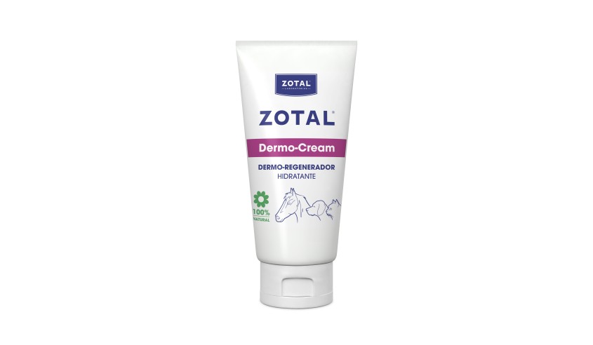 ZOTAL DERMO CREAM 100 ML