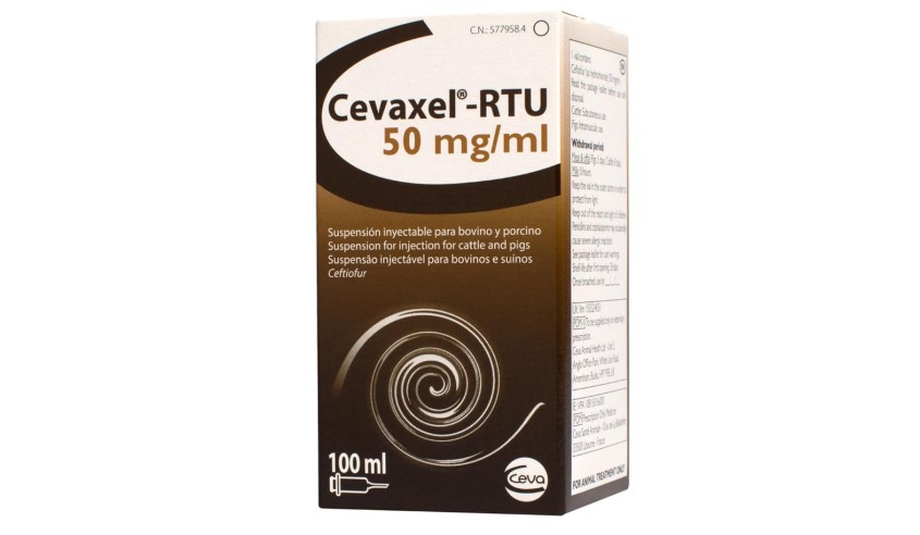 CEVAXEL 50 MG/ML 4 GR + DILUYENTE