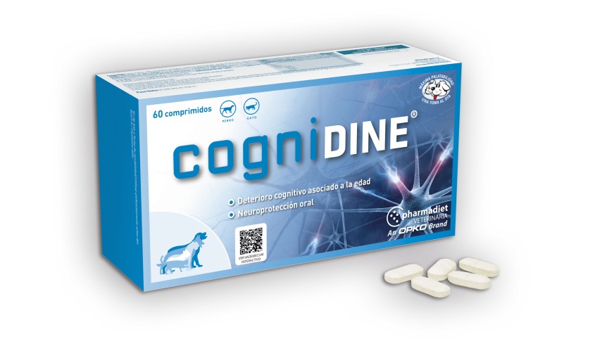 COGNIDINE 60 COMP