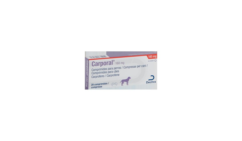 CARPORAL 160 MG 20 comp