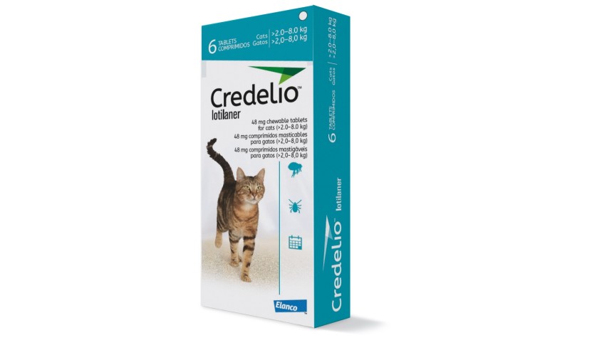 CREDELIO GATO 48 MG 2-8 KG 6 COMP (TURQUESA)