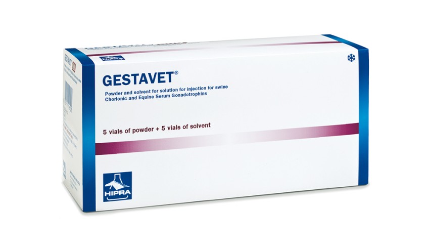 GESTAVET HCG 200/PMSG 400 1DS X 10