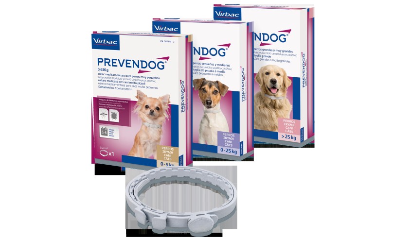 COLLAR PREVENDOG 60 CM (1 UD)