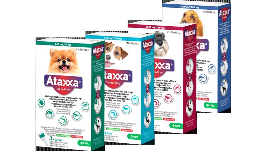 ATAXXA 200MG/40MG PERROS HASTA 4 KG 4PIP