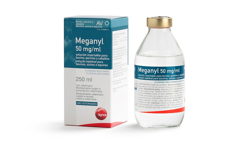 MEGANYL 100 ML