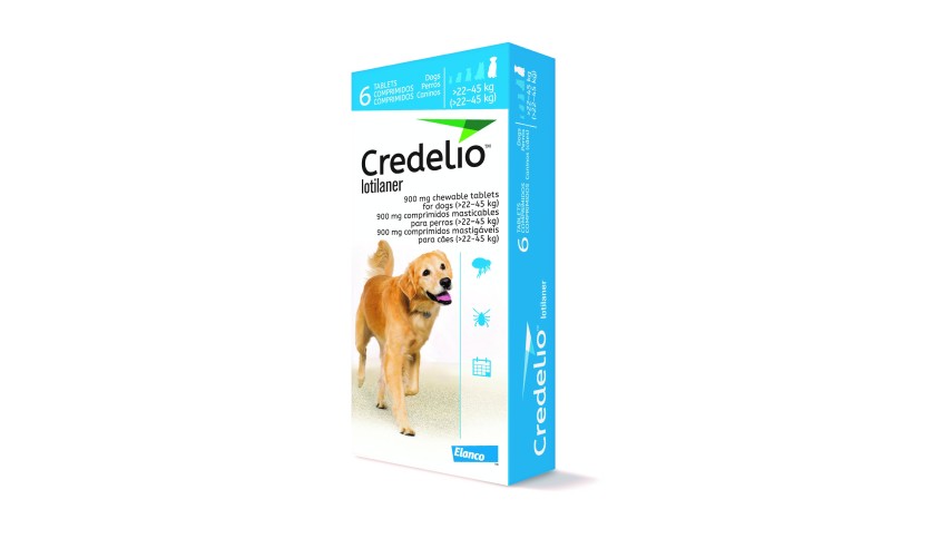 CREDELIO 900 MG +22-45 Kg 6 COMP (AZUL)