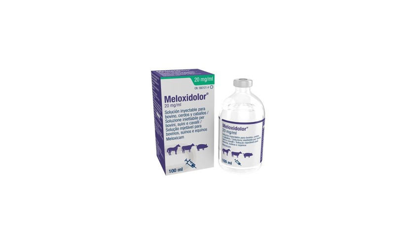 MELOXIDOLOR INYECTABLE 20 MG/ML. 100 ML