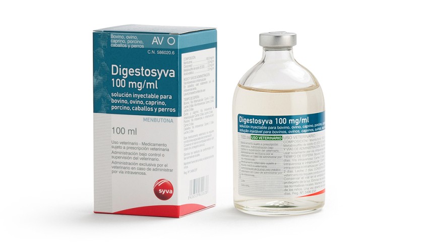 DIGESTOSYVA INY 100 MG/ML 100 ml AV