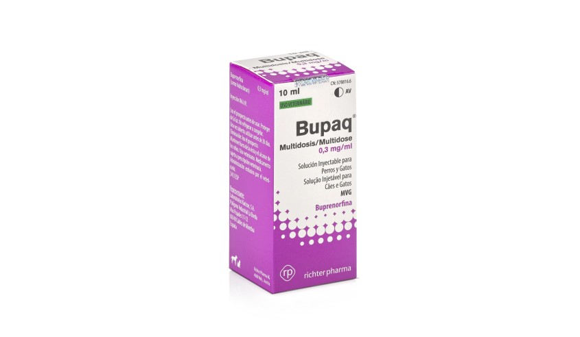 BUPAQ 10 ml AV