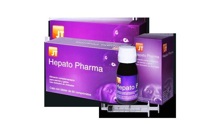 HEPATO PHARMA JARABE 55 ML