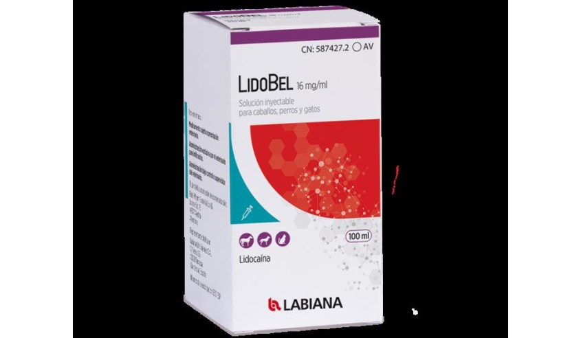 LIDOBEL 16 MG 100 ML INY