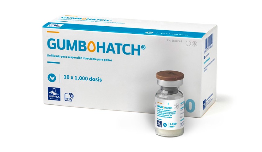 GUMBOHATCH 1000 DS X 10