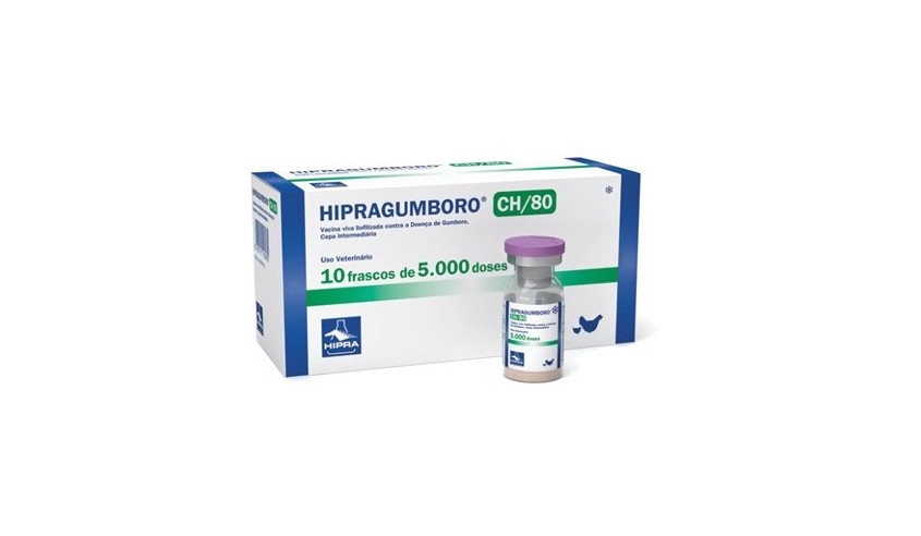 HIPRAGUMBORO CH/80 10 X 5000 DS (CLINICO)