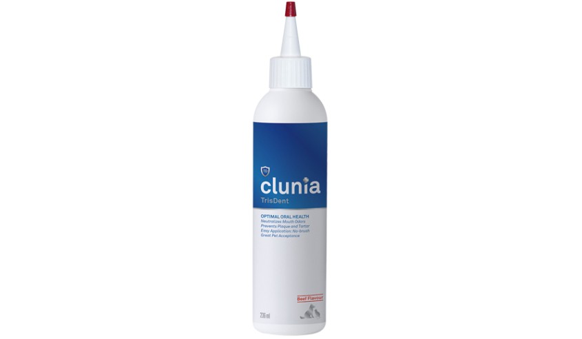 CLUNIA TRSIDENT 236 ML