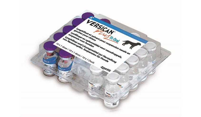 VERSICAN PLUS BB ORAL 10 DOSIS