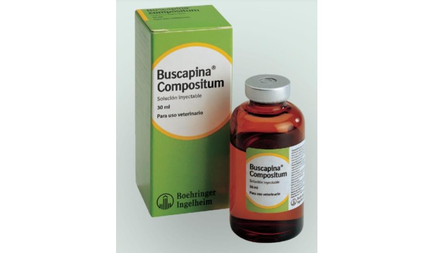 BUSCAPINA COMPOSITUM SOL INY 100 ML