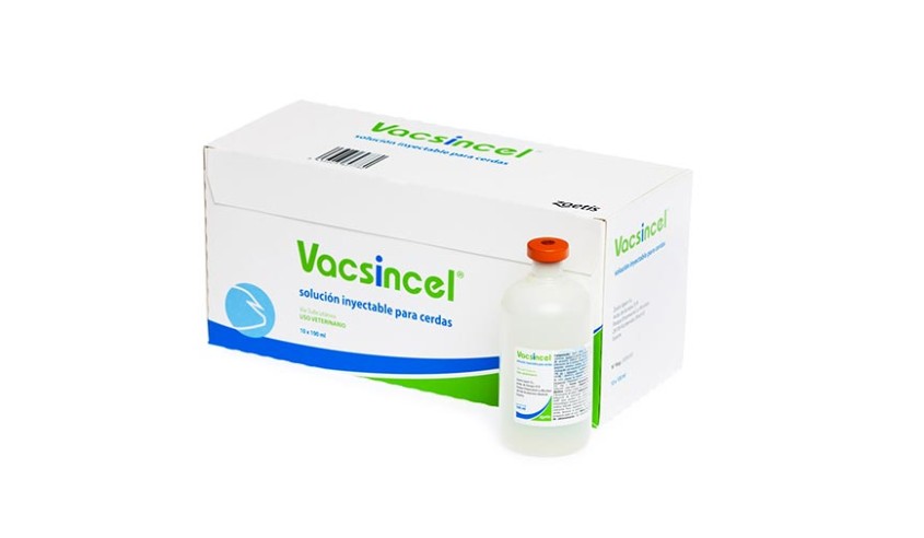 VACSINCEL 10x100 ML (10x50 DS)