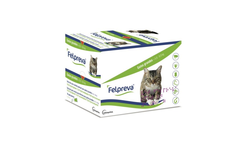 FELPREVA GATO GRANDE (5-8 KG) 10 PIPETAS