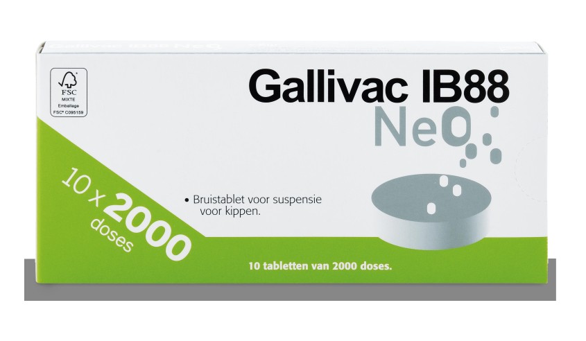 GALLIVAC IB88 NEO 10 X 2000 DS