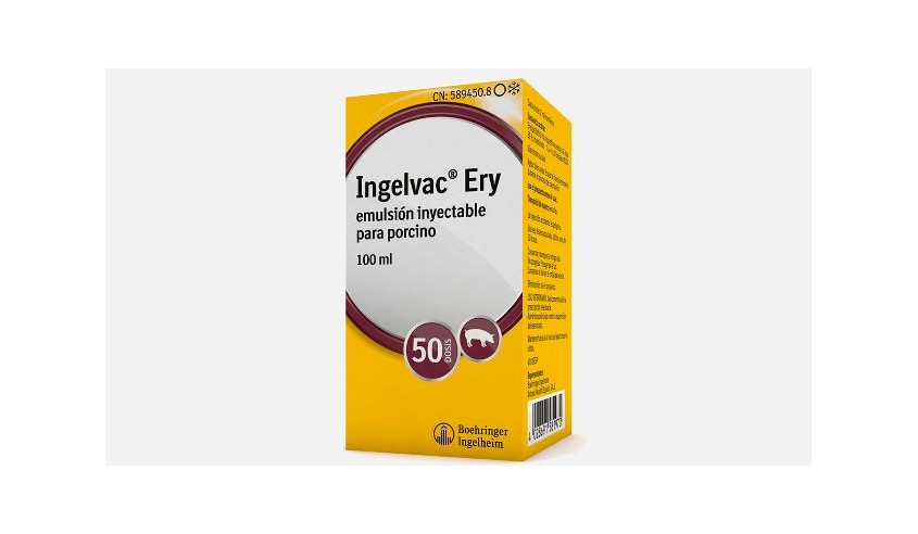 INGELVAC ERY 100 ML 50 DS