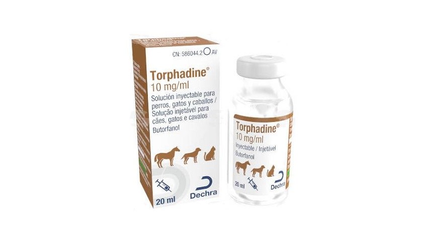 TORPHADINE 20 ml