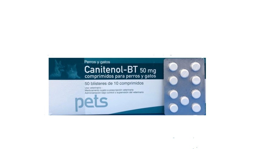 CANITENOL BT 50 MG 500 COMP