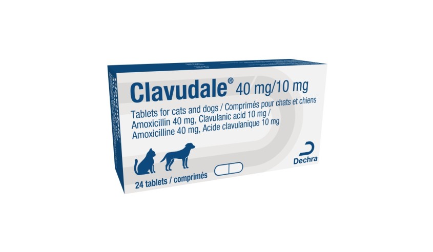 CLAVUDALE 40/10 MG 24 COMP