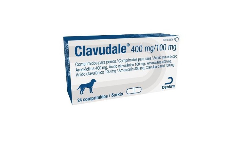 CLAVUDALE 400/100 MG 24 COMP