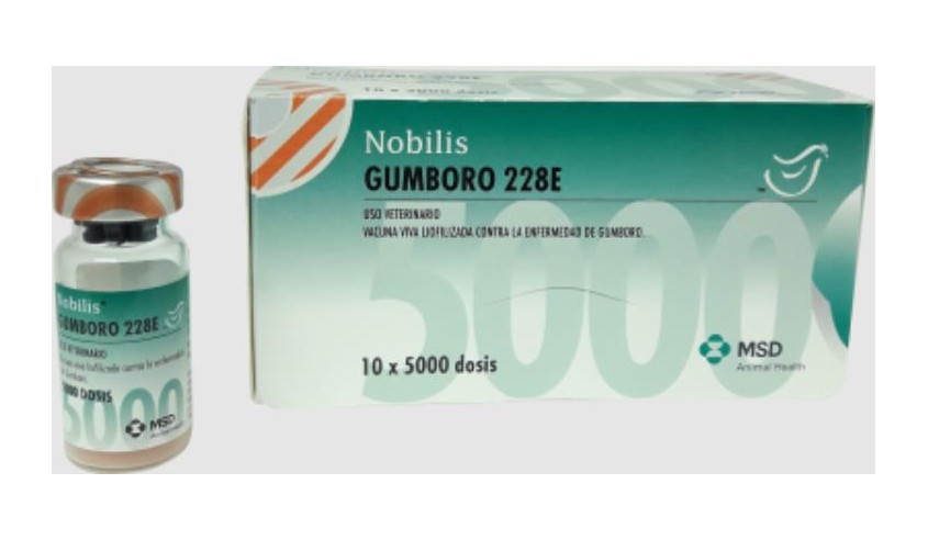 NOBILIS GUMBORO 228 E 5000 DS