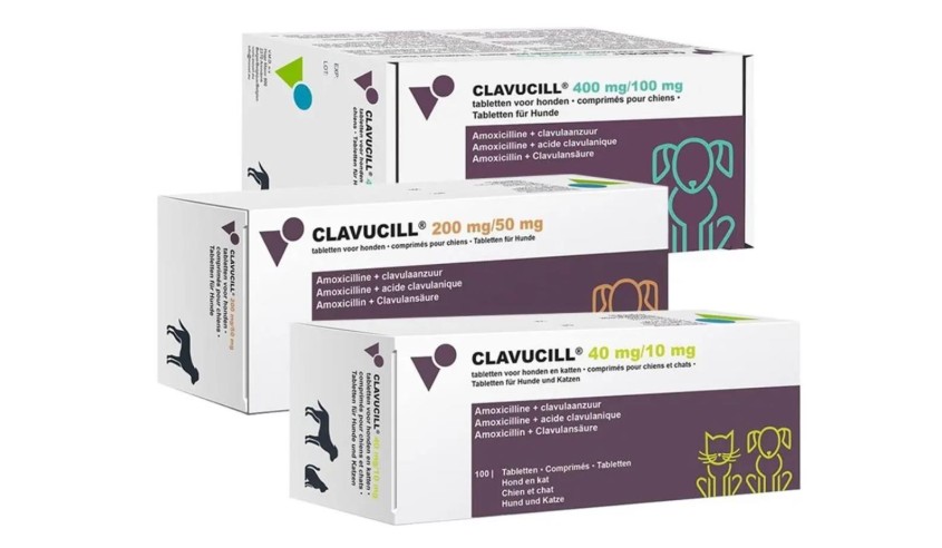 CLAVUCIL 250 MG 100 COMP