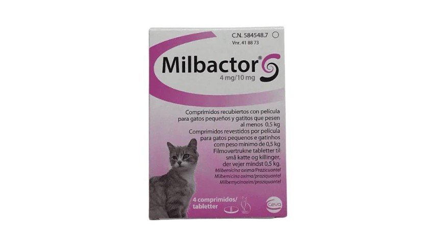 MILBACTOR GATITOS 4 COMP