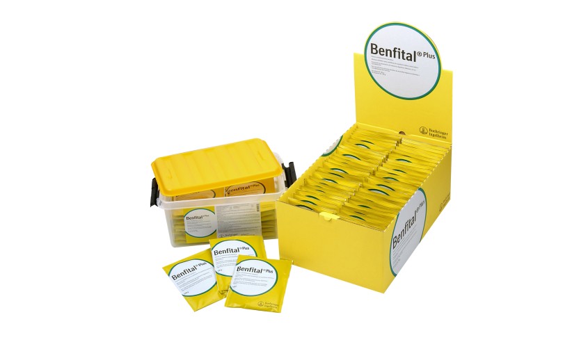 BENFITAL PLUS POLVO ORAL 24X100 G