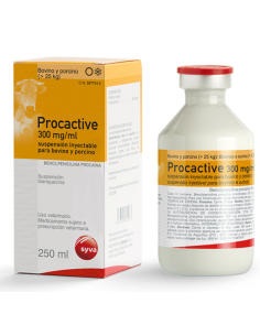 PROCACTIVE 300 250 CC