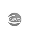 CEVA